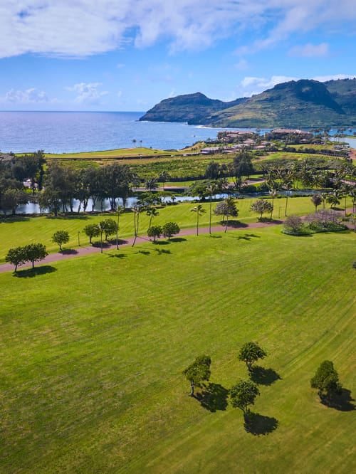 View of Lani Malie Homesites looking towards the ocean